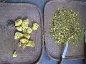 Natural Dyes