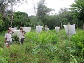 SEPALI farmers teach SEPALI team a thing or two