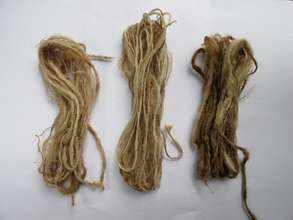 L to R: Hysoides, Ceranchia, and suraka yarn
