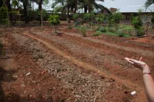 The vegetable garden of the farm
