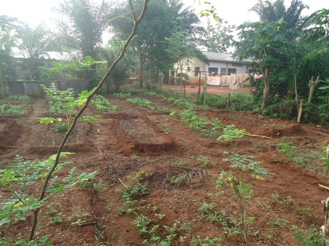 Daily Bread Farm for malnourished children - Benin