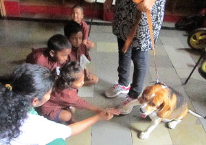 Animal-Assisted Therapy Sessions with the children