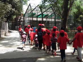 fun filled day at the zoo