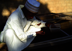 Shehu Gagare feeding fish