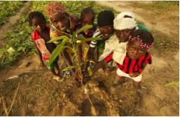 Women's Community Gardens