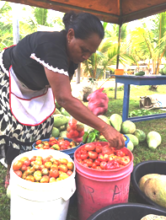 Albertina's empowerment grew with Harvesting Hope.