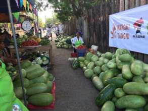 Women sell their produce at a market.