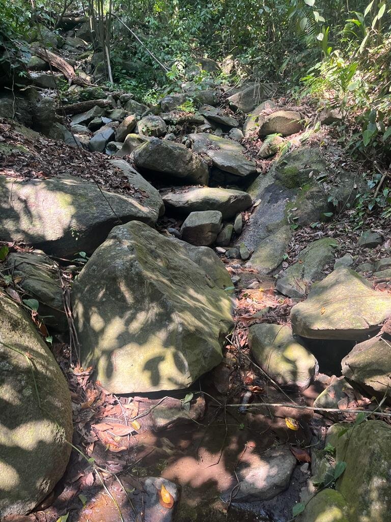 Transform lives with clean water in Honduras