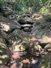 Current Water Source