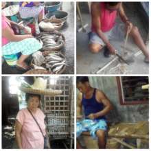 Alternative Ways of Survival in Talim Island