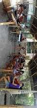 Ang Misyon Talim Island Bamboo Rest House