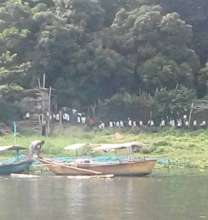 Talim Island Lakeshore