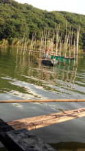 A native fisherman struggling vs. fishing magnates