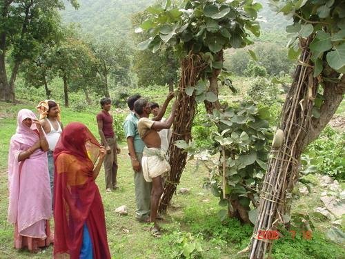 Empowering Villages in Rural India
