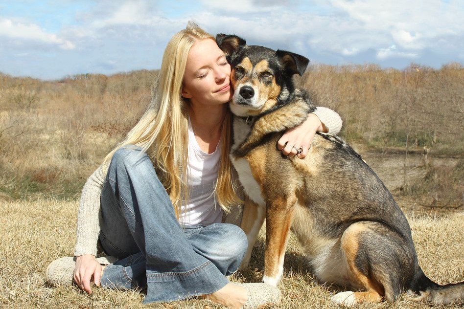 Protecting Pets In Domestic Violence