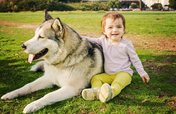 Protecting Pets In Domestic Violence