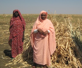 Women Farmers in Sudan