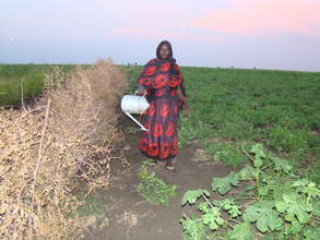 A Women Farmers Union member watering her crops
