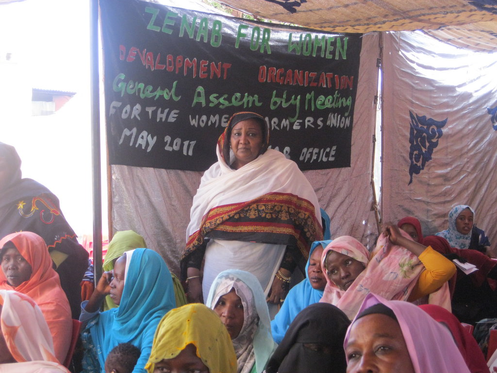 Support Women Farmers in Sudan