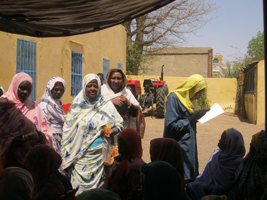 Support Women Farmers in Sudan