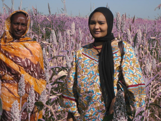 Support Women Farmers in Sudan