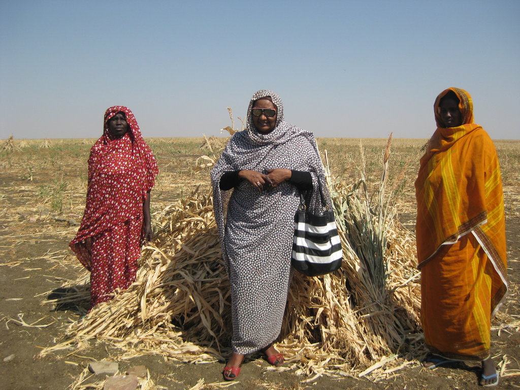 Support Women Farmers in Sudan