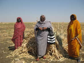 Support Women Farmers in Sudan