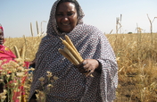 Support Women Farmers in Sudan