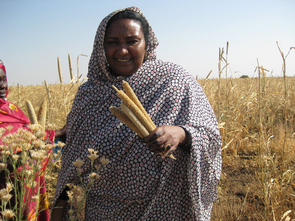 Support Women Farmers in Sudan