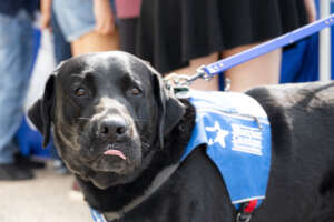 Proud 2024 Graduate!