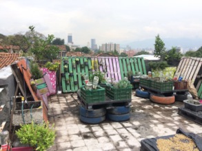 terrace before