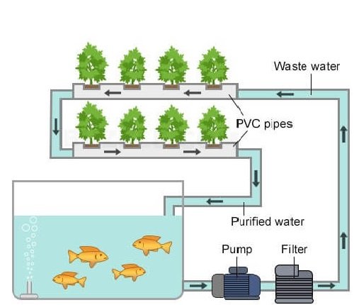 ENVIRONMENTAL EDUCATION IS A NECESSARY EDUCATION!