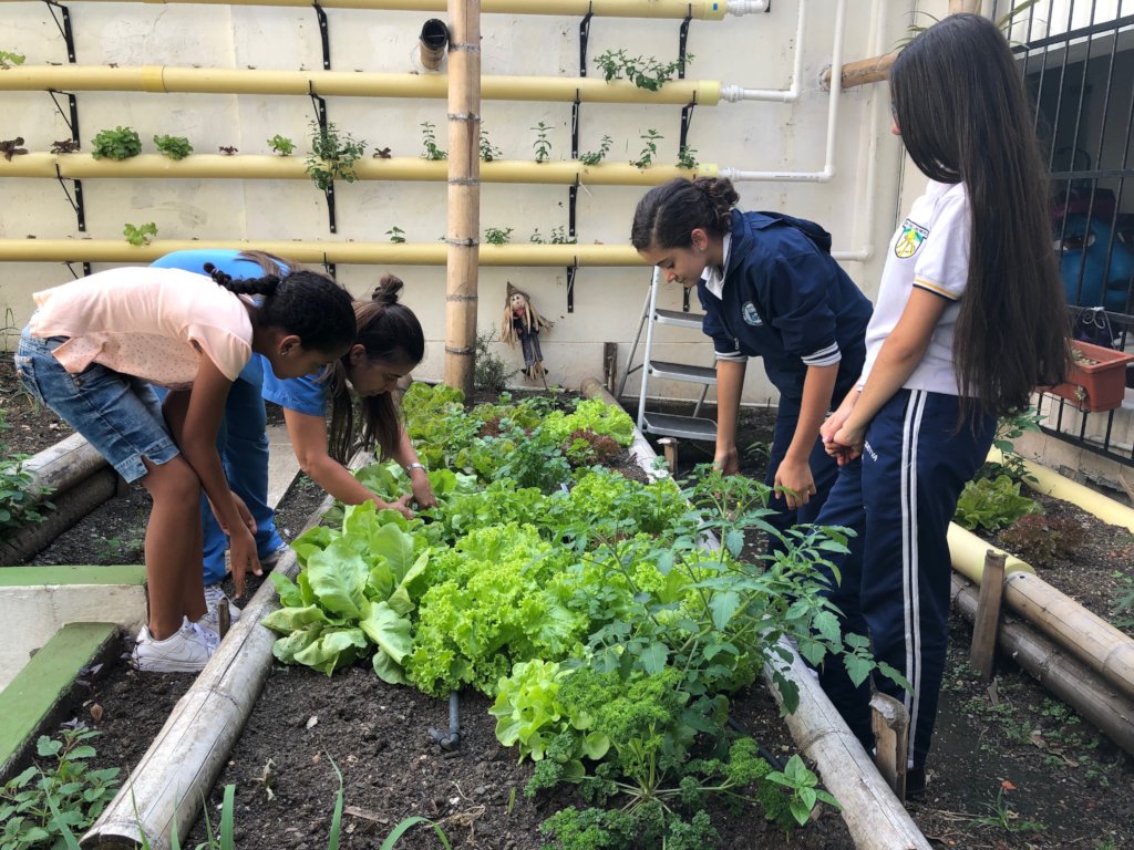 ENVIRONMENTAL EDUCATION IS A NECESSARY EDUCATION!