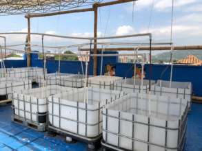Acuaponic system-fish tanks