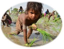 educate and feed an orphan female child in india