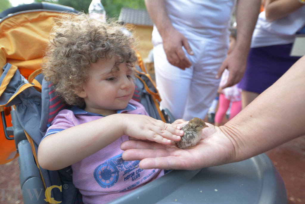 Build the First Inclusive Playground in Armenia