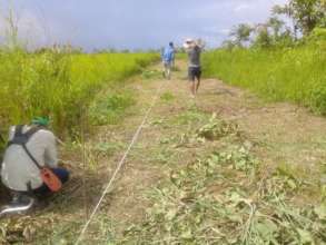 Reforesting Santa Clara