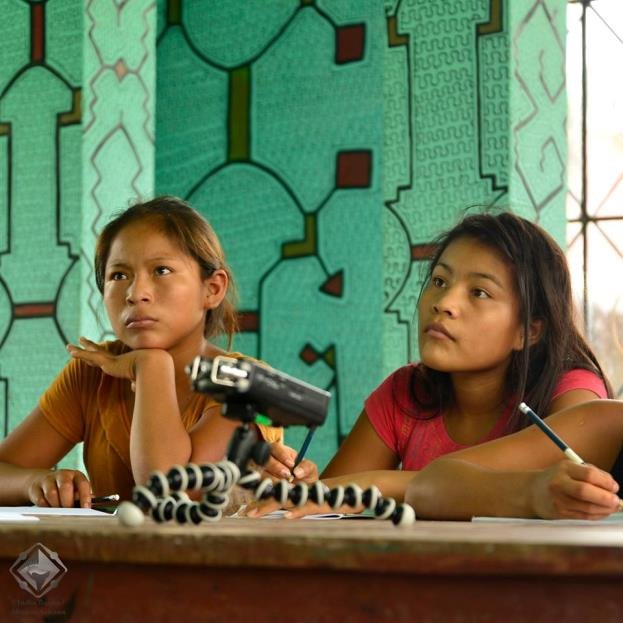 Agroforestry the Peruvian Amazon
