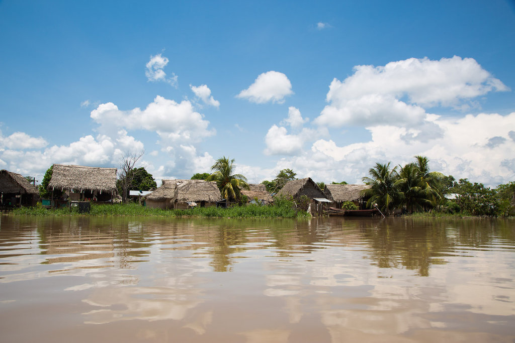 Agroforestry the Peruvian Amazon