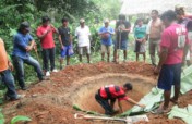 Agroforestry the Peruvian Amazon