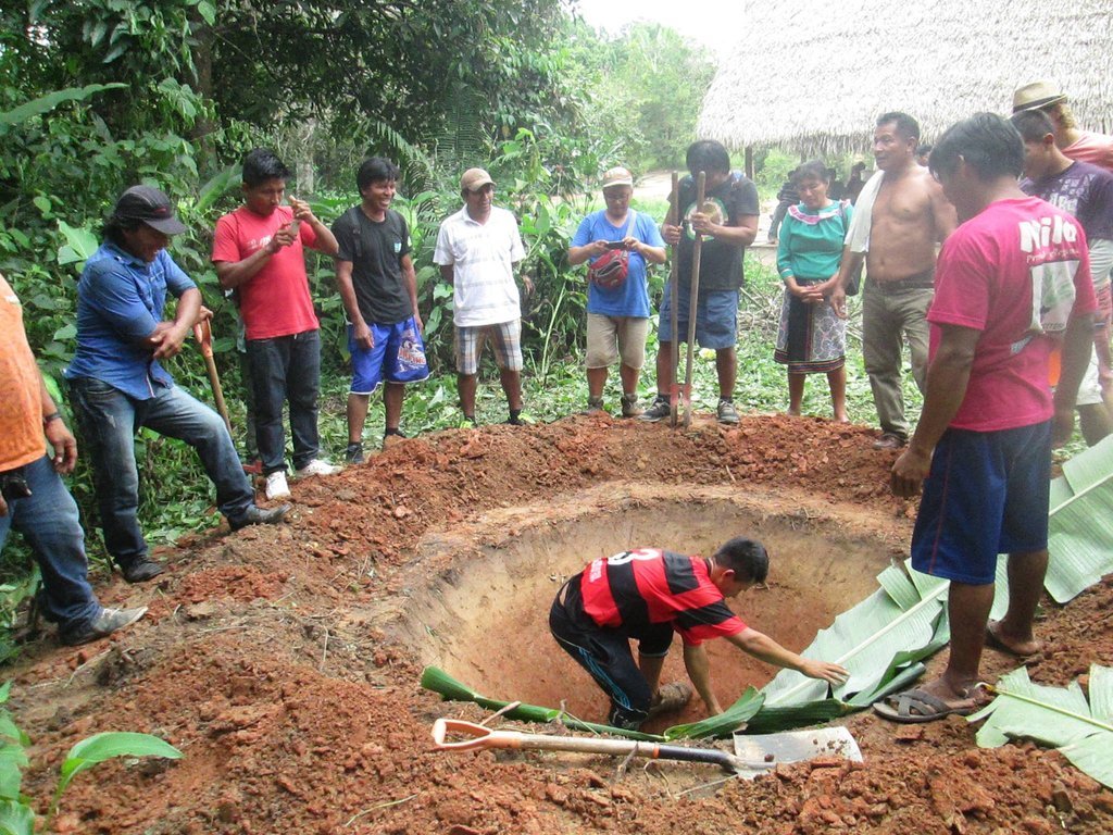 Agroforestry the Peruvian Amazon