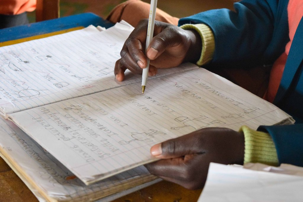 Hurricane Disaster Relief - BeeHive School