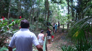 2012 Walk in the Nature event.
