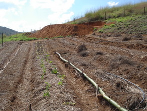 First planted vegetable beds and water reservoir