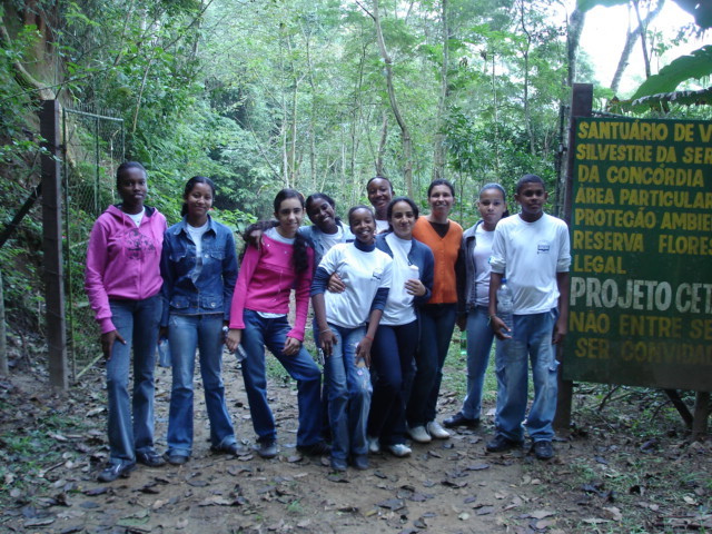 2008 trees plantation