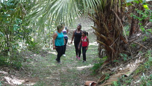 On a trail.