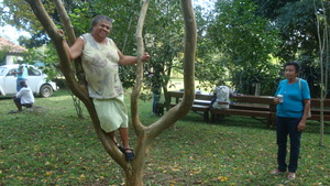 Trees for older ones. Mrs. Maria is 81 years old.