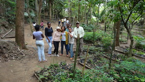 Visiting tree nursery.