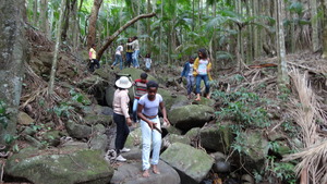 Visiting water source.