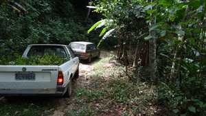 On the road to the Wildlife Sanctuary.